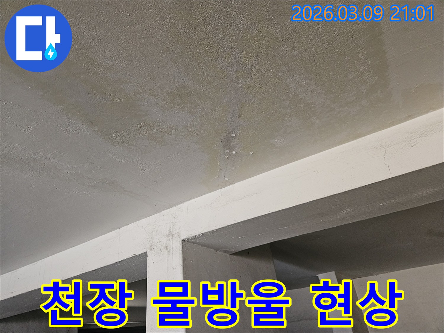 콘크리트 천장에서-물이 계속해서-떨어지는-심각한 누수-현장-사진입니다.