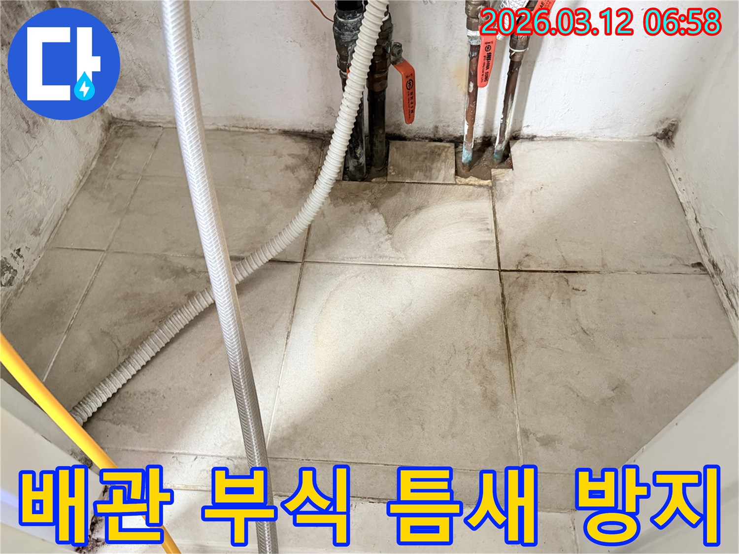 낡은-배관-연결부와-그-주변의-습기-및-곰팡이를-보여주는-누수-현장-사진