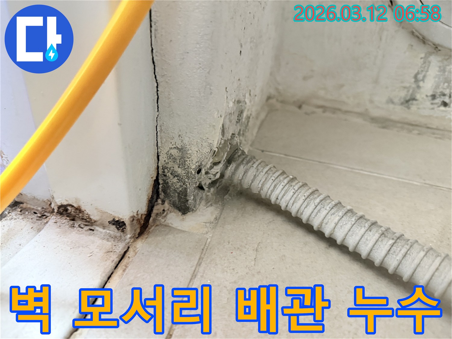마포구-공덕동-빌라-벽-모서리-배관-주변의-누수-흔적과-곰팡이-발생-현장
