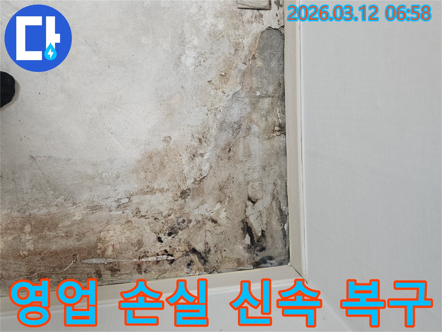 마포구-상가-누수-현장-영업-손실-최소화를-위한-신속-복구-계획-수립