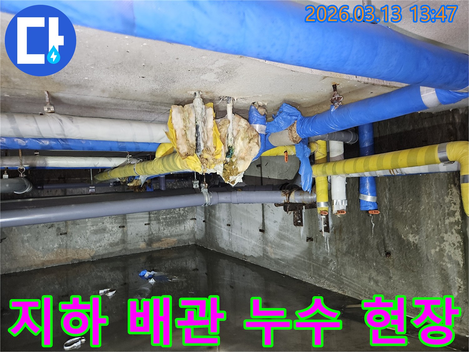 물이-고여있는-지하-공간과-손상된-배관-보온재-현장