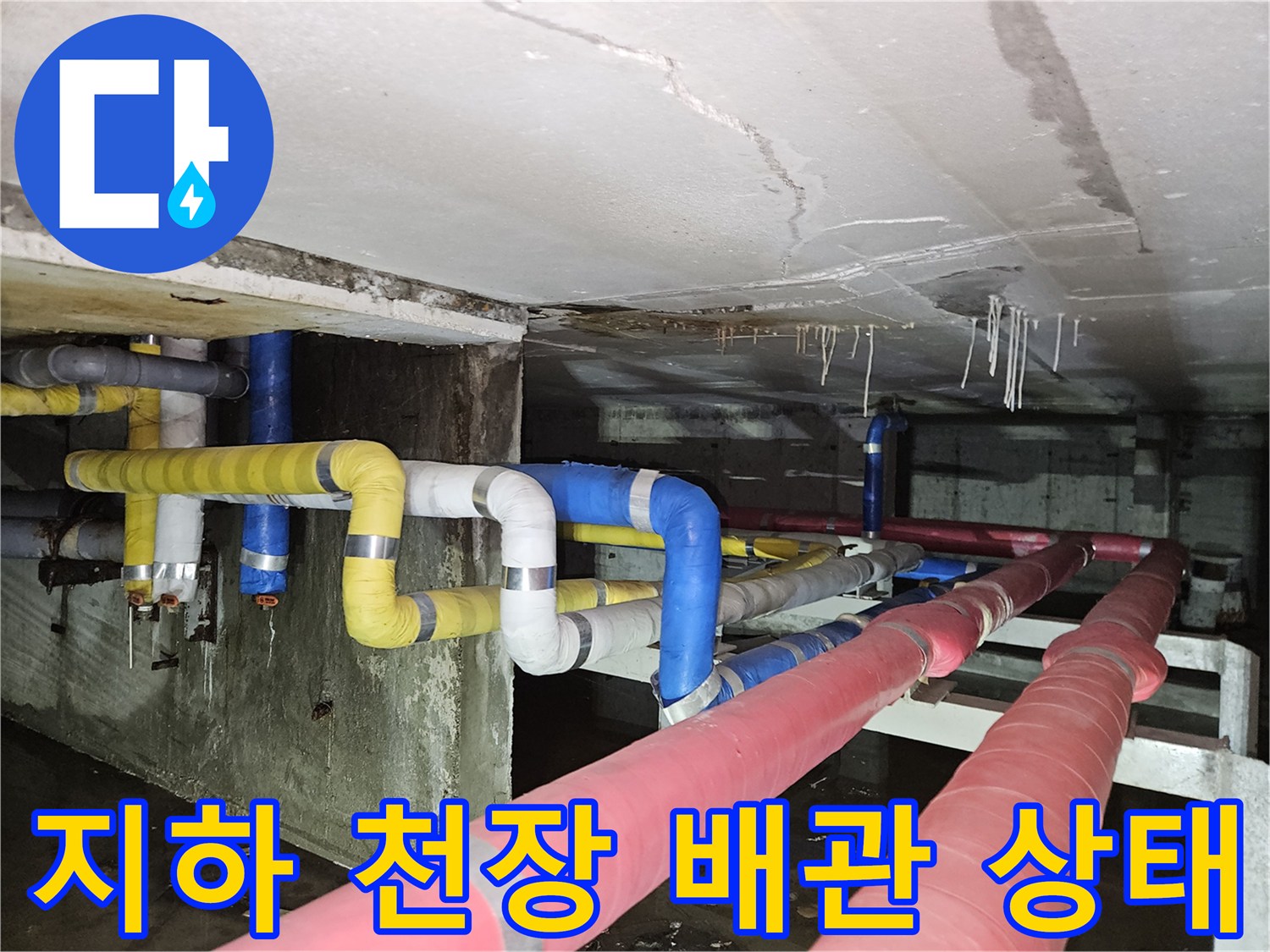 분당 구미동 빌라-지하 천장 내부의 젖은 배관 모습