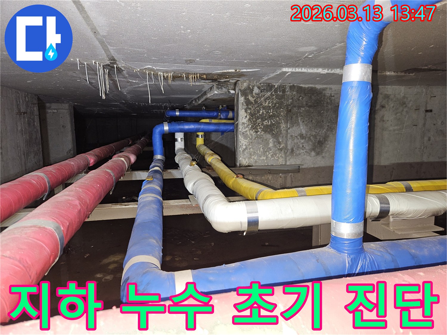 지하-공간의-복잡하게-연결된-배관들에서-발생한-누수를-초기에-정확히-진단하는-전문가의-모습