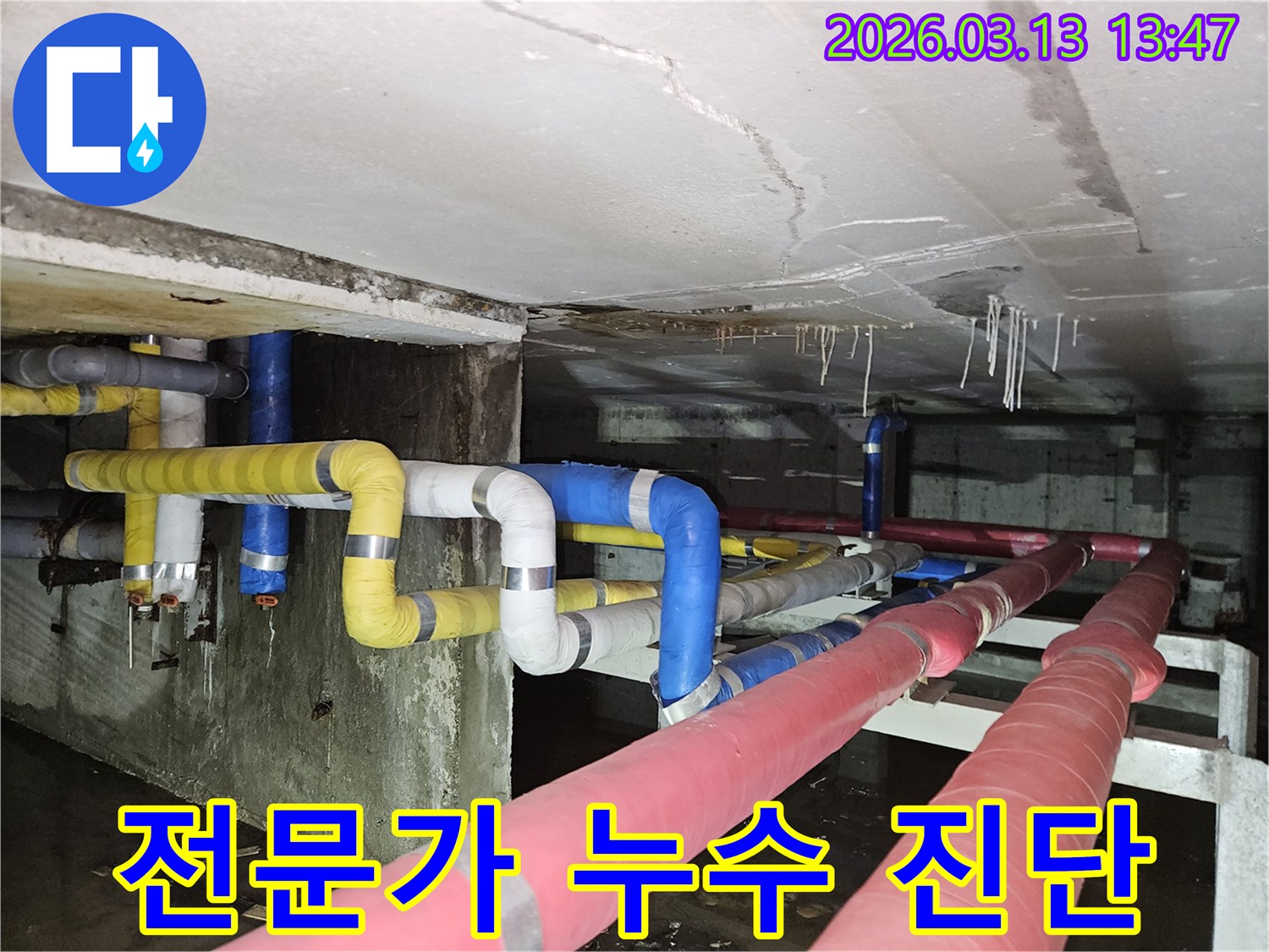 지하 천장에서-물이 떨어지는-심각한 누수 현장을-전문가가-정밀하게 진단하고 있는-모습을 보여주는 사진