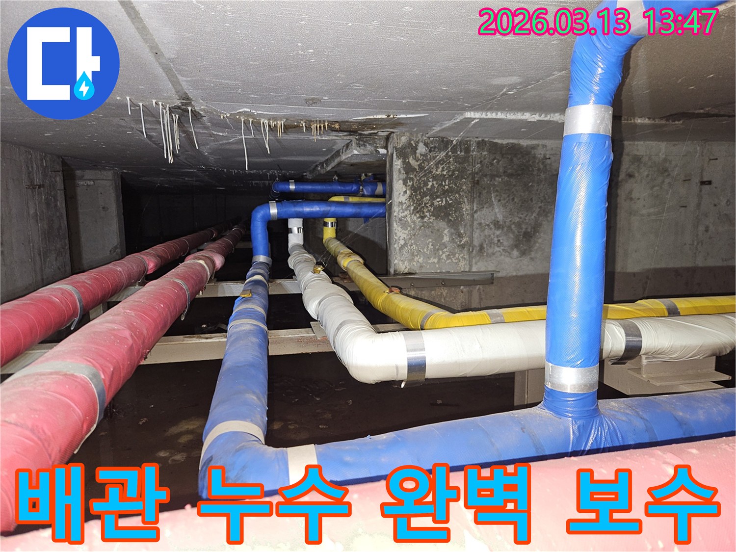 천장-아래-복잡하게-설치된-배관들에서-발생한-누수를-정확히-탐지하고-완벽하게-보수하는-과정