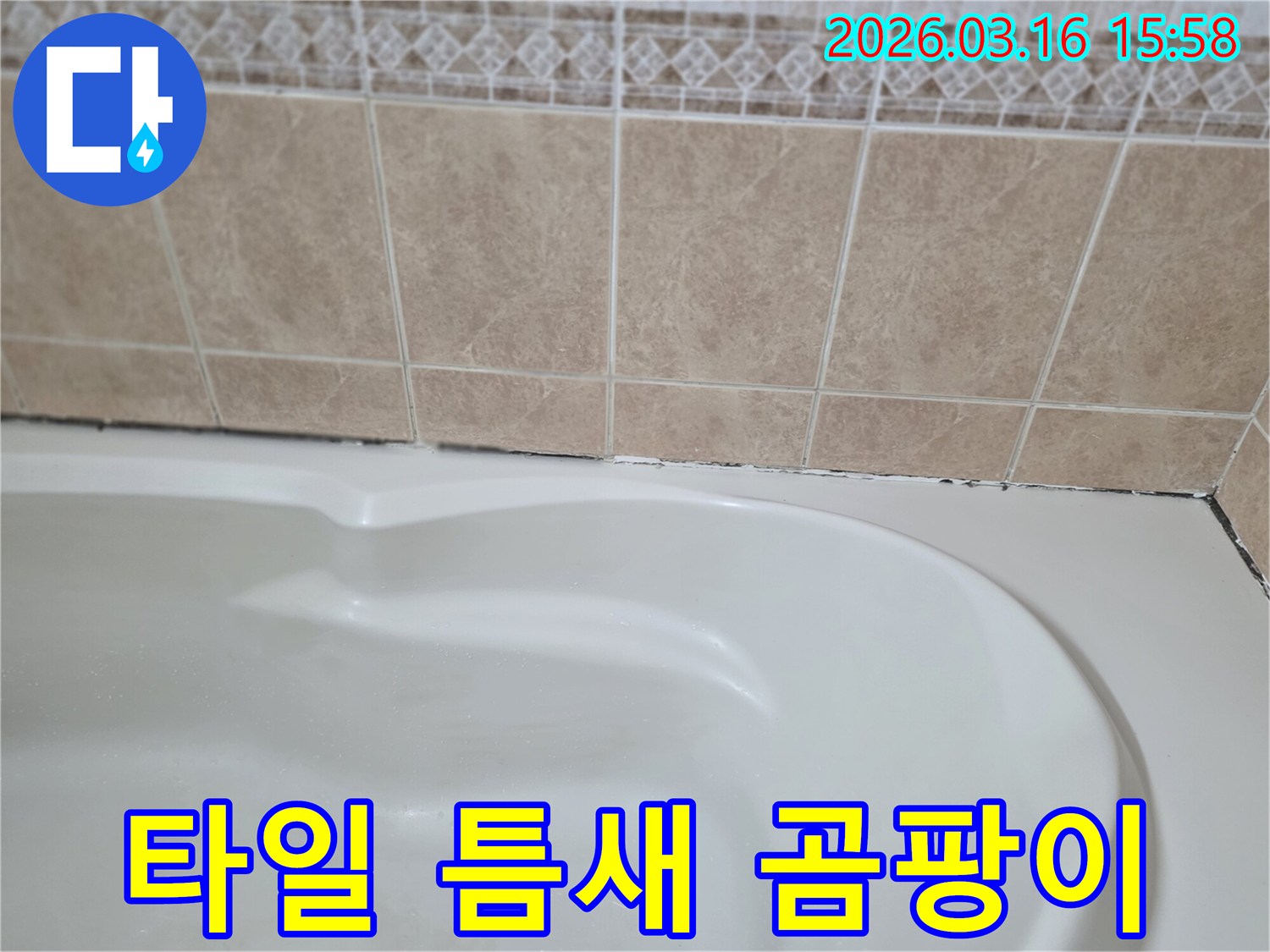 욕조와-타일-사이의-줄눈에-생긴-검은-곰팡이는-지속적인-습기-침투로-인한-누수-가능성을-보여줍니다.