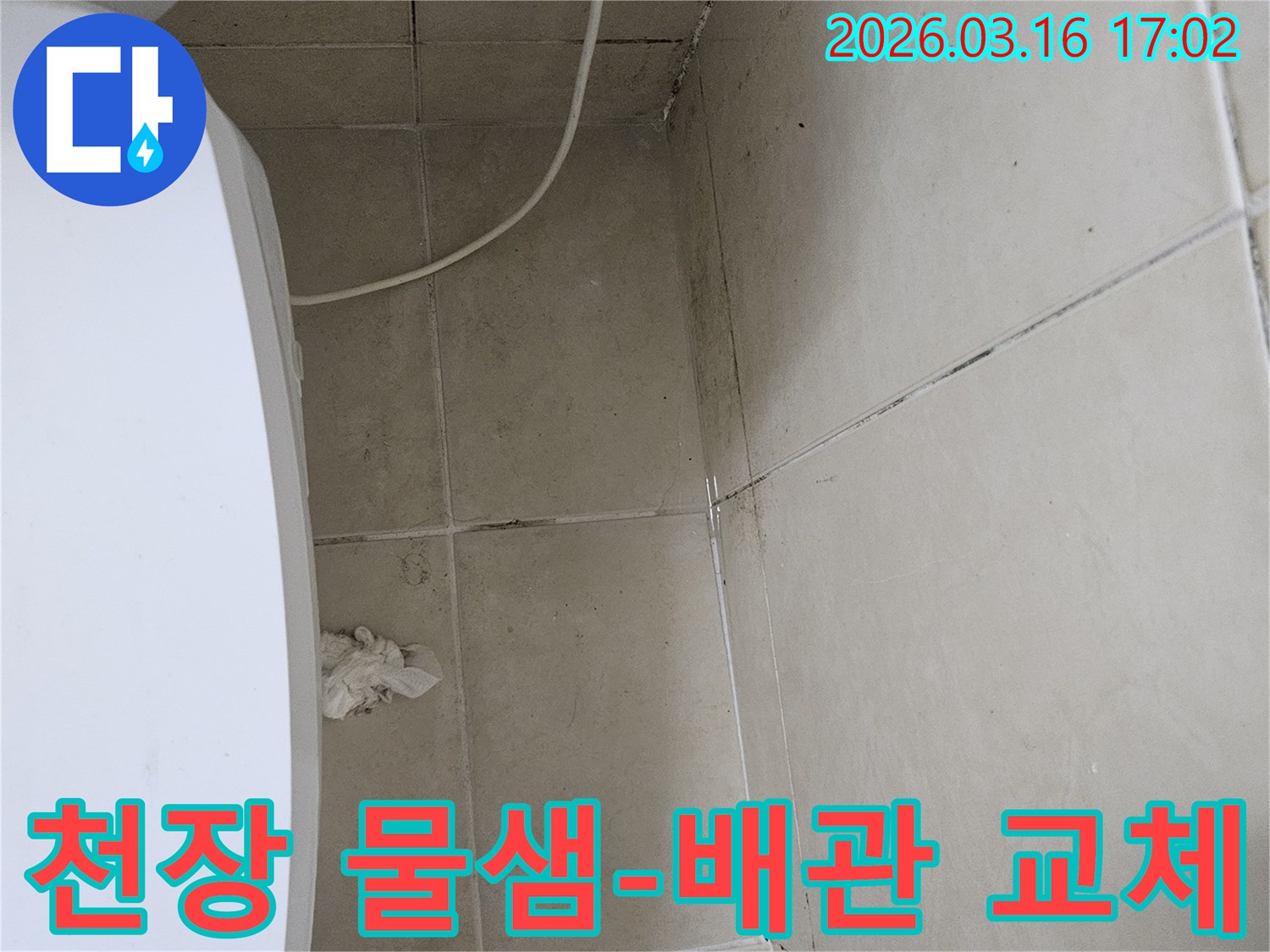 빌라 화장실 천장과 벽면 타일에 검은 곰팡이가 심하게 번져있으며-천장 일부가 손상되어 내부 배관 누수가 의심되는 현장입니다