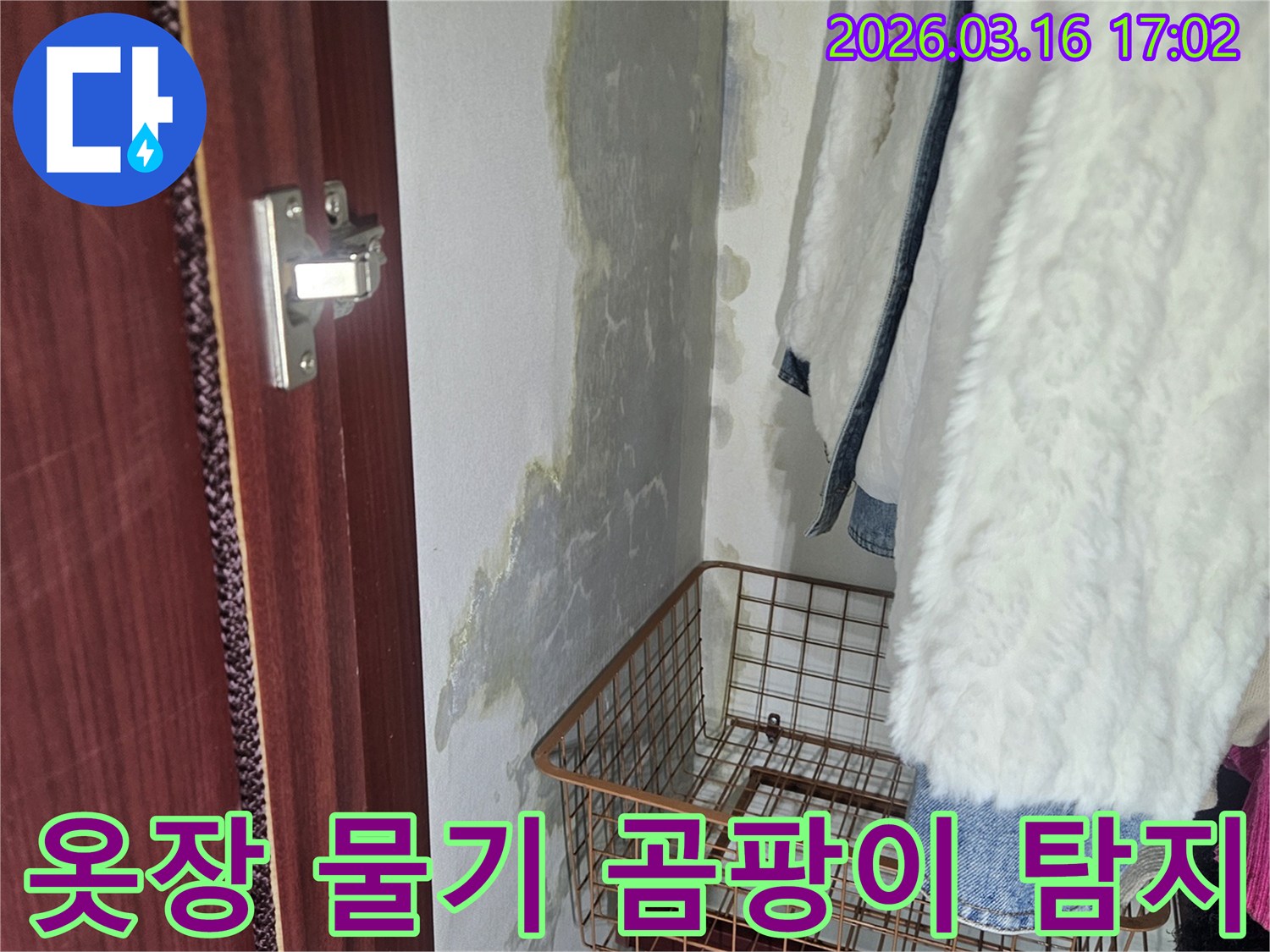 옷장 안쪽- 벽에 생긴- 물기와- 곰팡이로 인한- 얼룩 현상