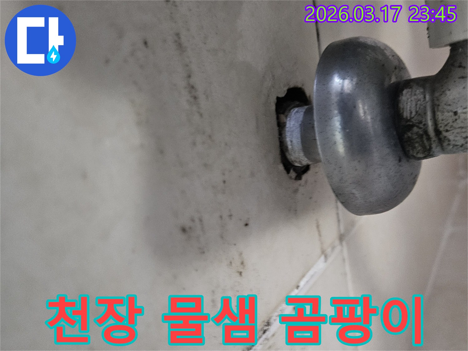 배관 연결 부위에서 시작된 누수-천장으로 번진 곰팡이 흔적입니다