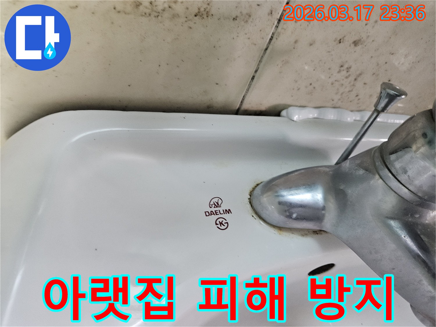 세면대 뒤편 벽에- 심각하게 번식한 곰팡이가- 아랫집으로의 누수 피해를- 시사하며 신속한 조치가 필요함을 보여줍니다