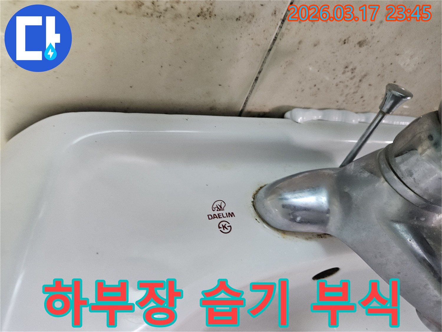 오래된 대림 세면대와 수도꼭지 주변에 생긴-물때와 벽면 곰팡이가-세면대 하부 수납장 습기로 인한 곰팡이 및 부식 문제 해결이 필요한 현장을 보여주는 사진입니다.