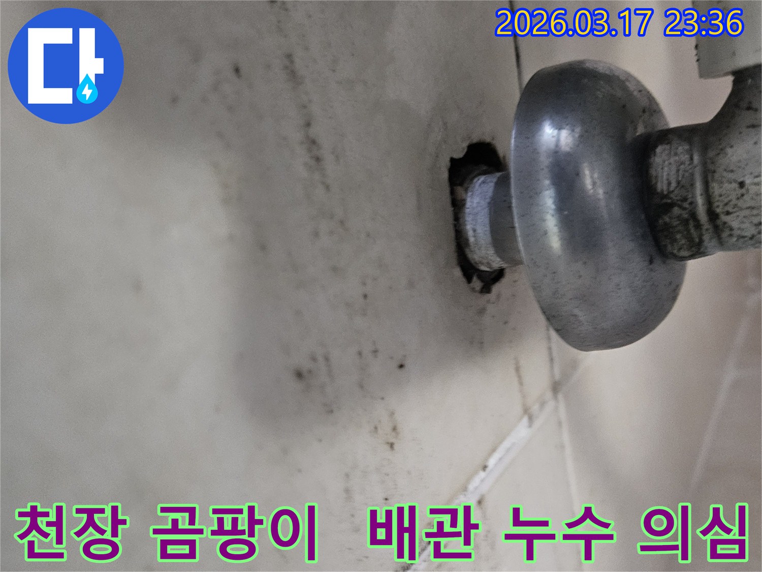 오래된-천장-배관에서-발생한-누수로-인한-심각한-곰팡이-오염-현장