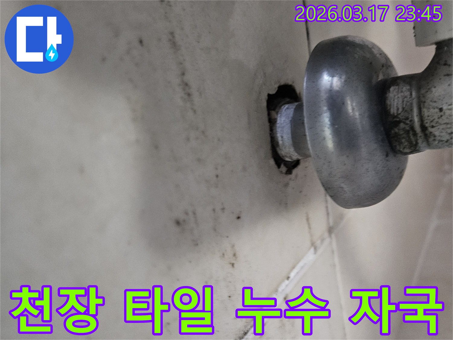오랜 시간 지속된 누수로 인해-천장 마감재가 손상되고 곰팡이가 번식했습니다