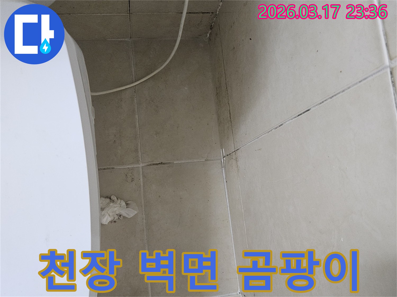 이 사진은-욕실-천장과-벽면-모서리에-발생한-심각한-곰팡이와-오염을-보여주며-이는-누수로-인한-지속적인-습기-침투를-의미합니다