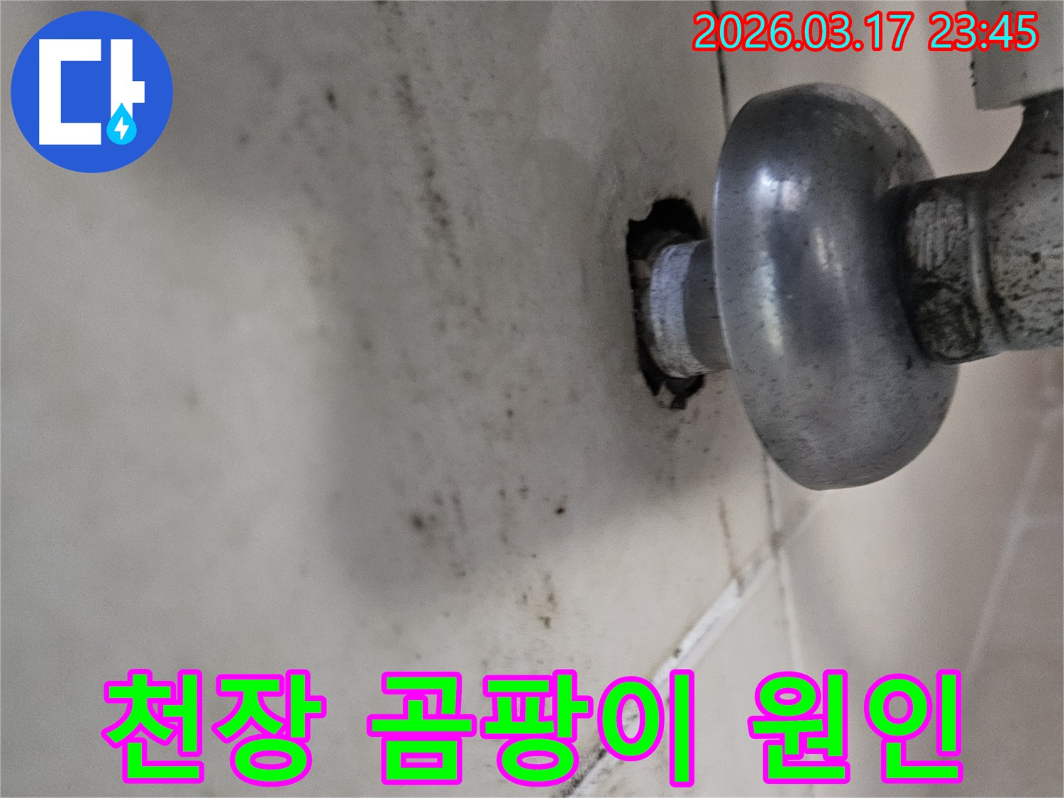 이 사진은 천장 배관 주변의 누수로 인해-곰팡이와 물때가 심하게 생긴 모습을 보여줍니다