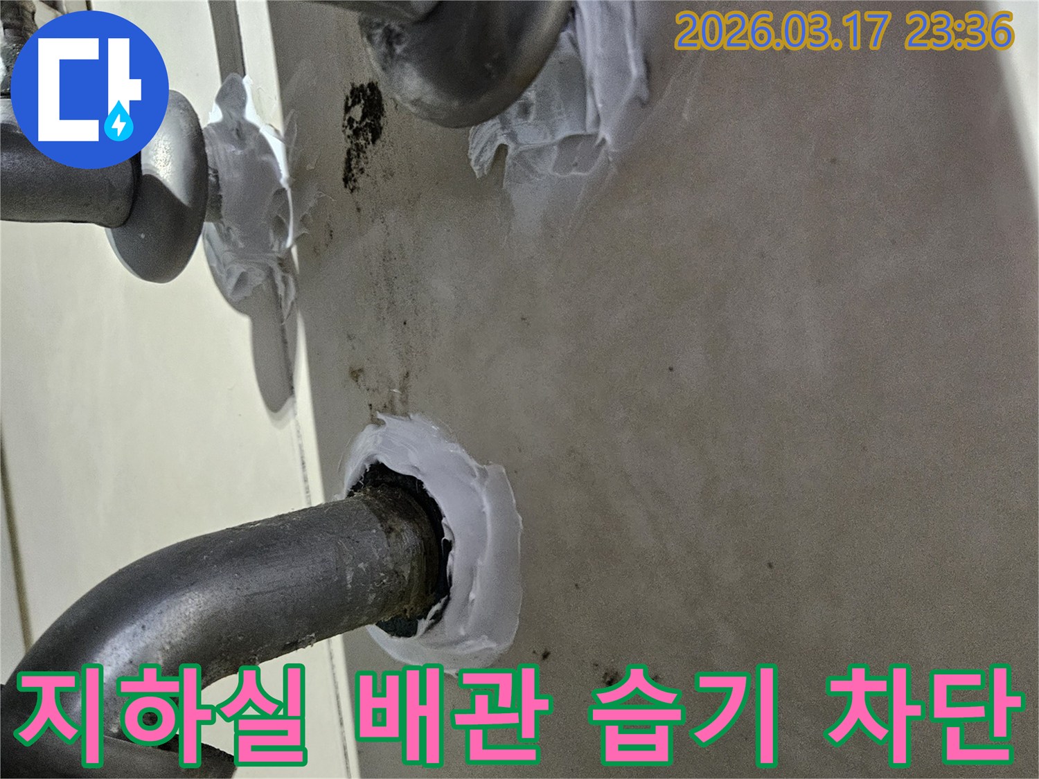 이 이미지는 병점동 주택 지하실 배관 주변의 습기를 차단하고-누수를 방지하기 위해 특수 방수 실란트로 꼼꼼하게 밀봉하는 과정을 보여줍니다-위생적이고 안전한 보수입니다.