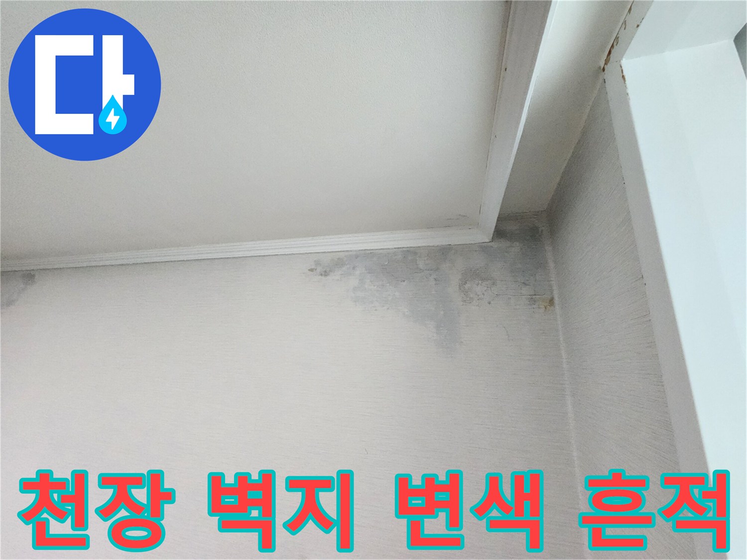 분당 정자동 아파트-천장 벽면의 물샘 흔적과 곰팡이 발생 상태