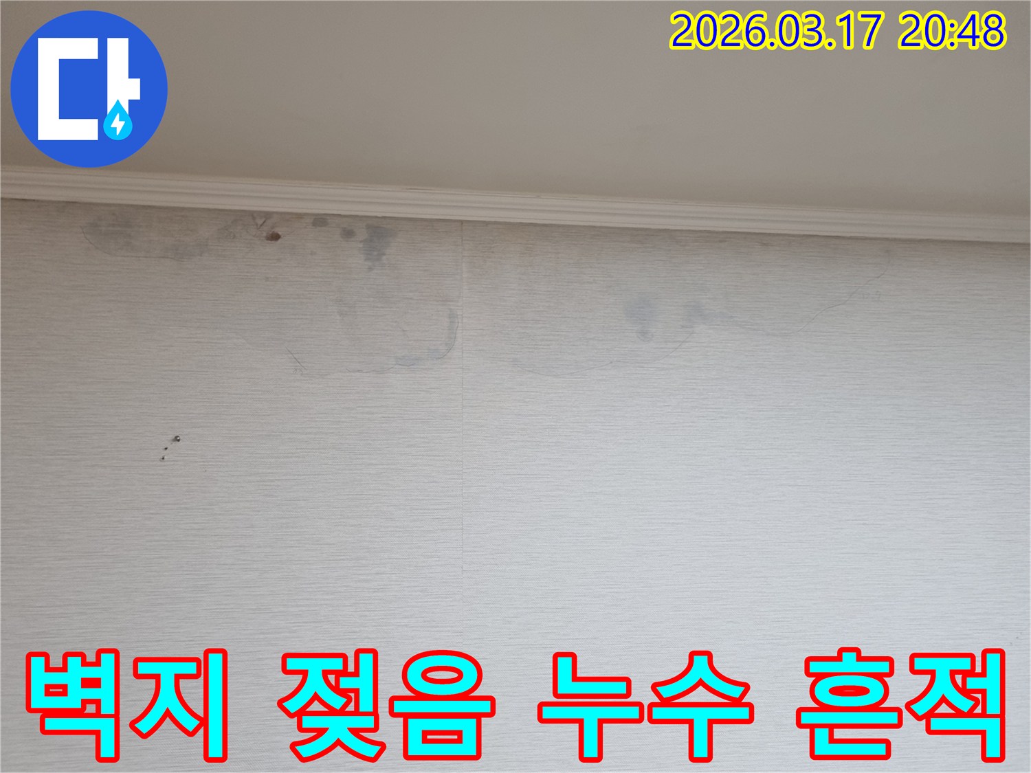 천장 누수로 인해 벽지가 젖은 모습-물 얼룩과 곰팡이 발생 초기 단계