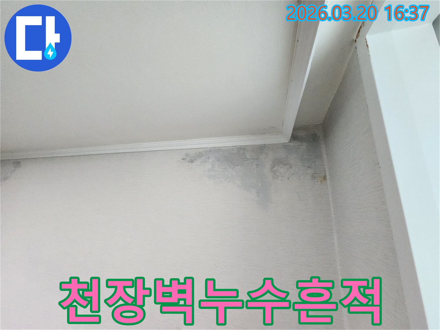 천장과-벽면에서-발견된-누수로-인한-젖음-현상과-곰팡이-시작점