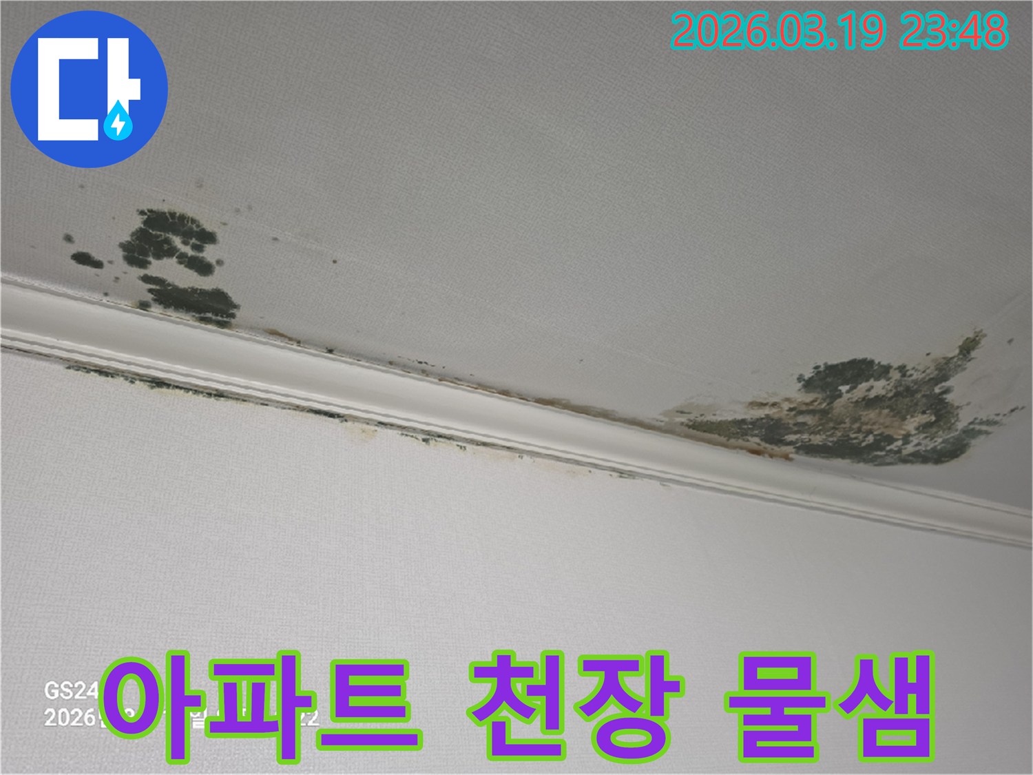 아파트-천장-누수-물자국-곰팡이-확산-모습-신속한-조치가-필요한-상황