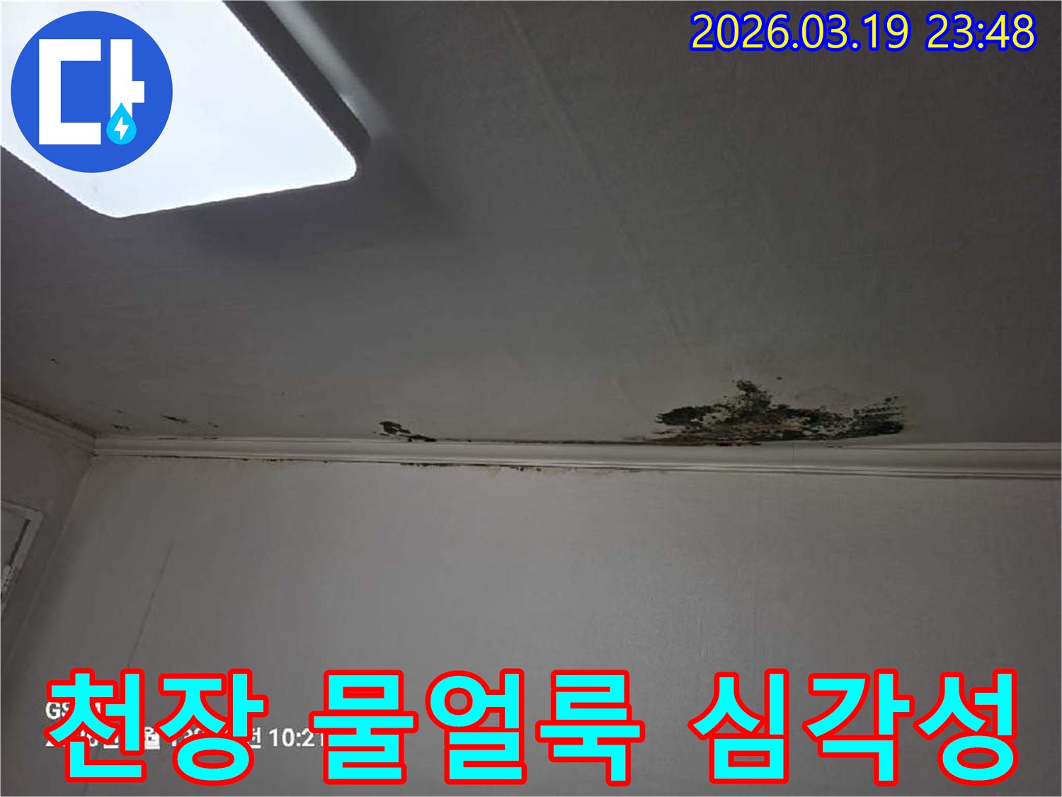 천장-모서리-부분에-누수로-인해-심하게-변색되고-손상된-벽지-모습