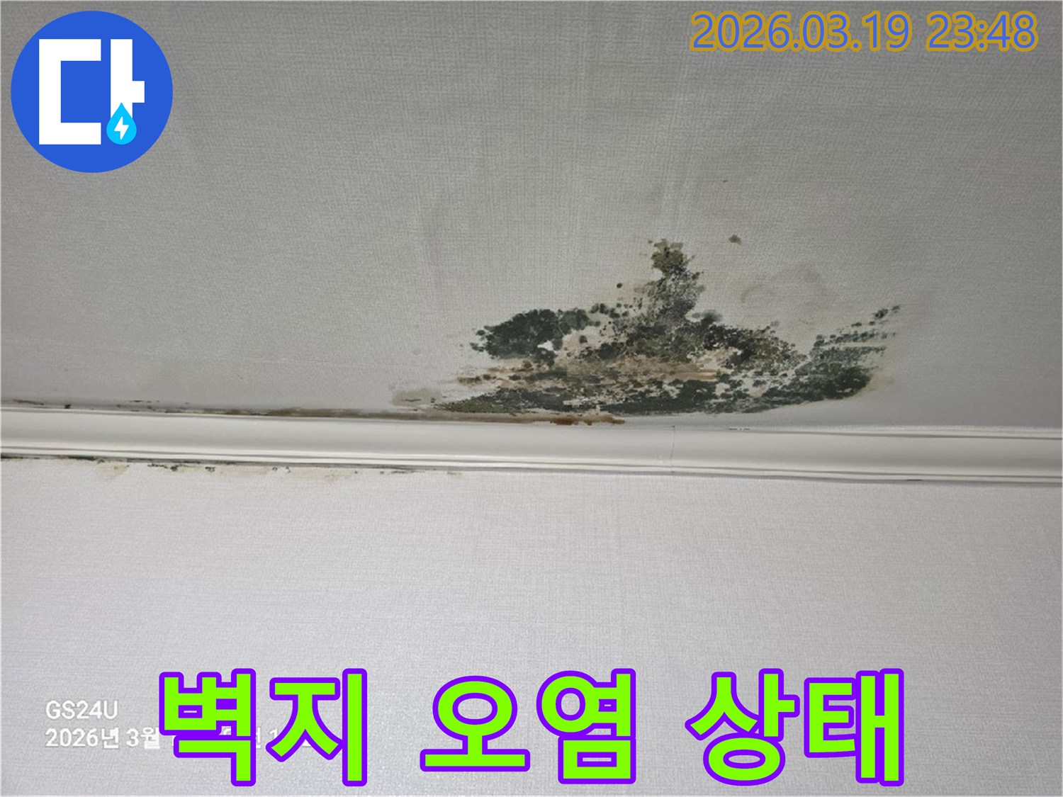 천장-벽지에-발생한-누수-흔적과-함께-심각하게-번진-곰팡이-모습