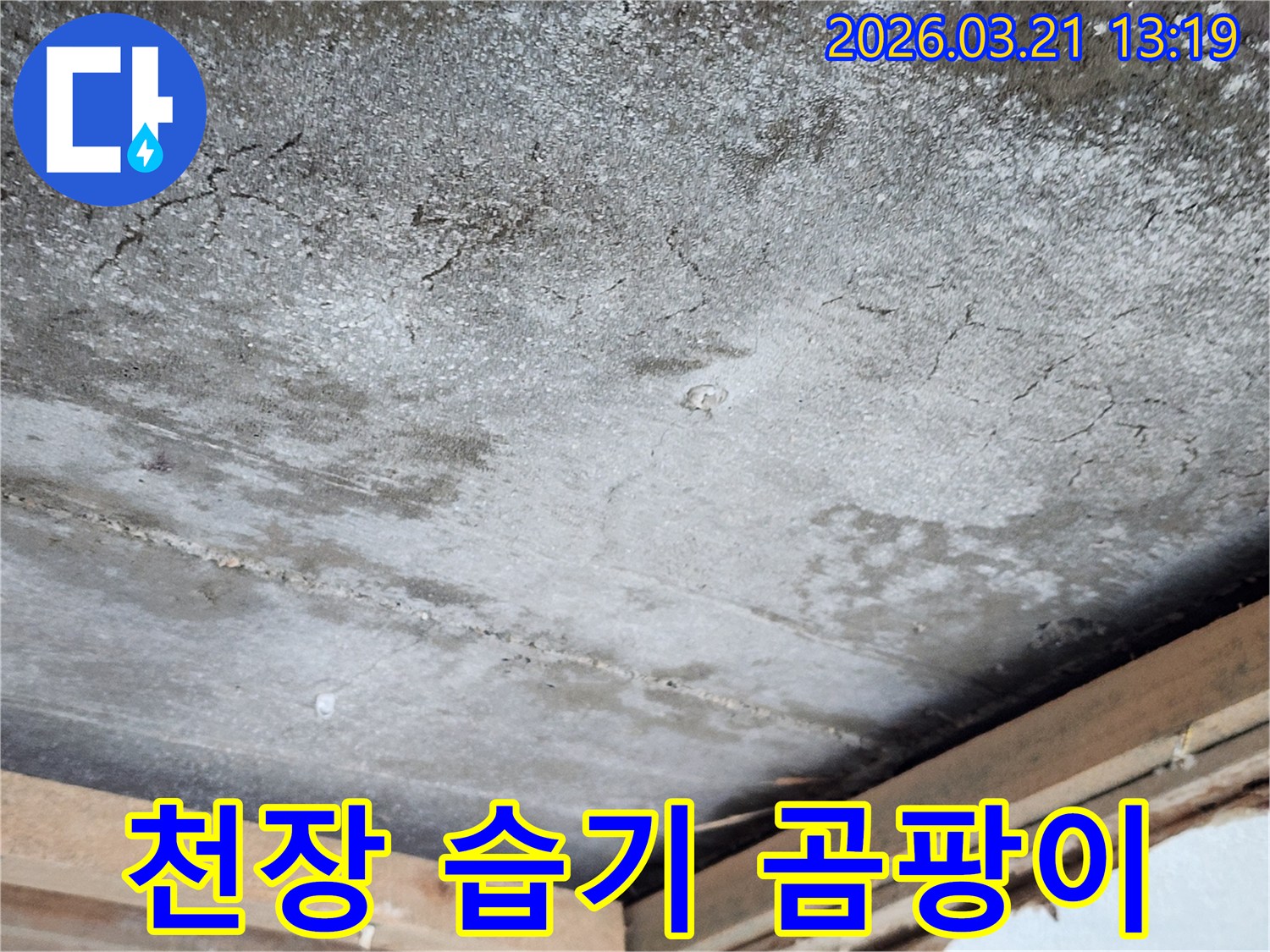 습기로 인해 천장에 생긴 어두운 얼룩과-곰팡이 흔적은-누수 문제의-심각성을-경고합니다.