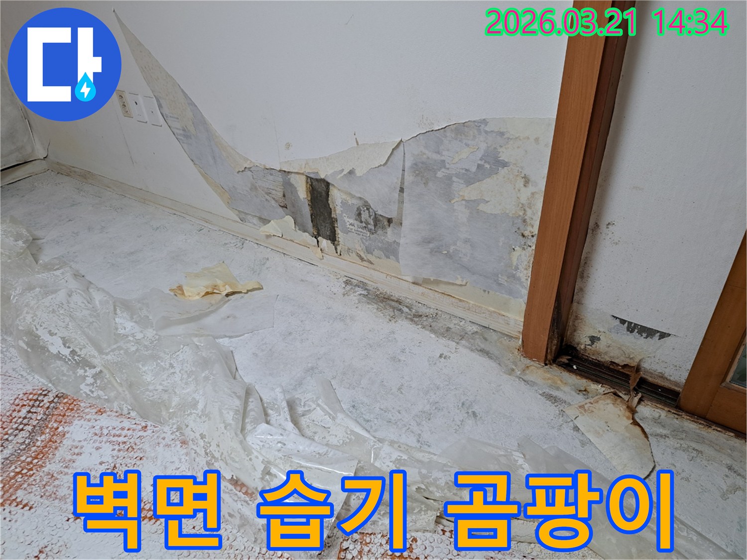 누수로-인해-벽지가-벗겨지고-습기와-곰팡이가-가득한-벽면-상태