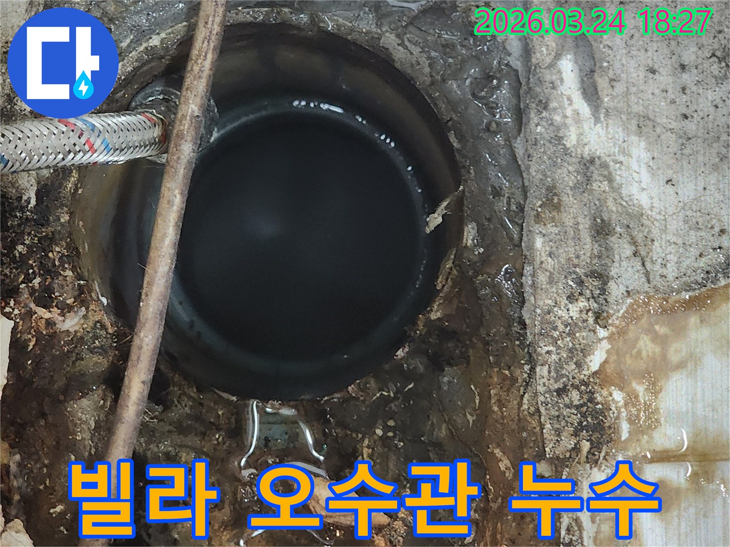 빌라의 오수관-주변에서-발견된-심각한 누수-흔적과-물 고임-현장 모습