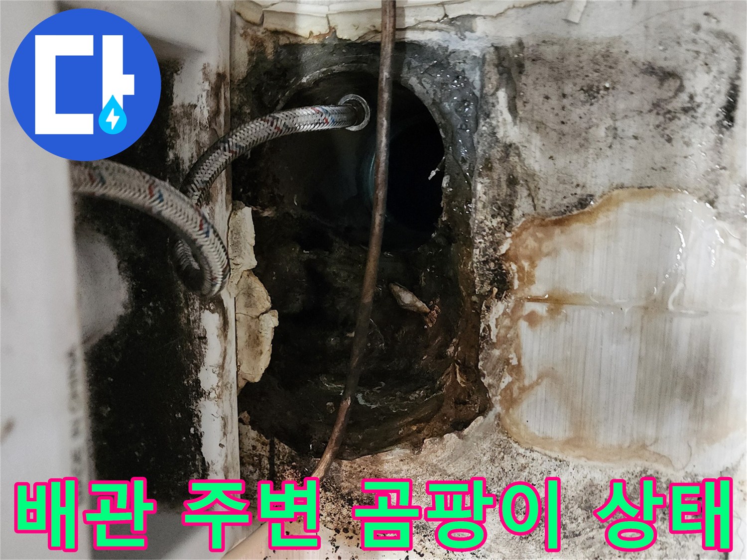 습기와-곰팡이가-가득한-오수-배관-주변-부위