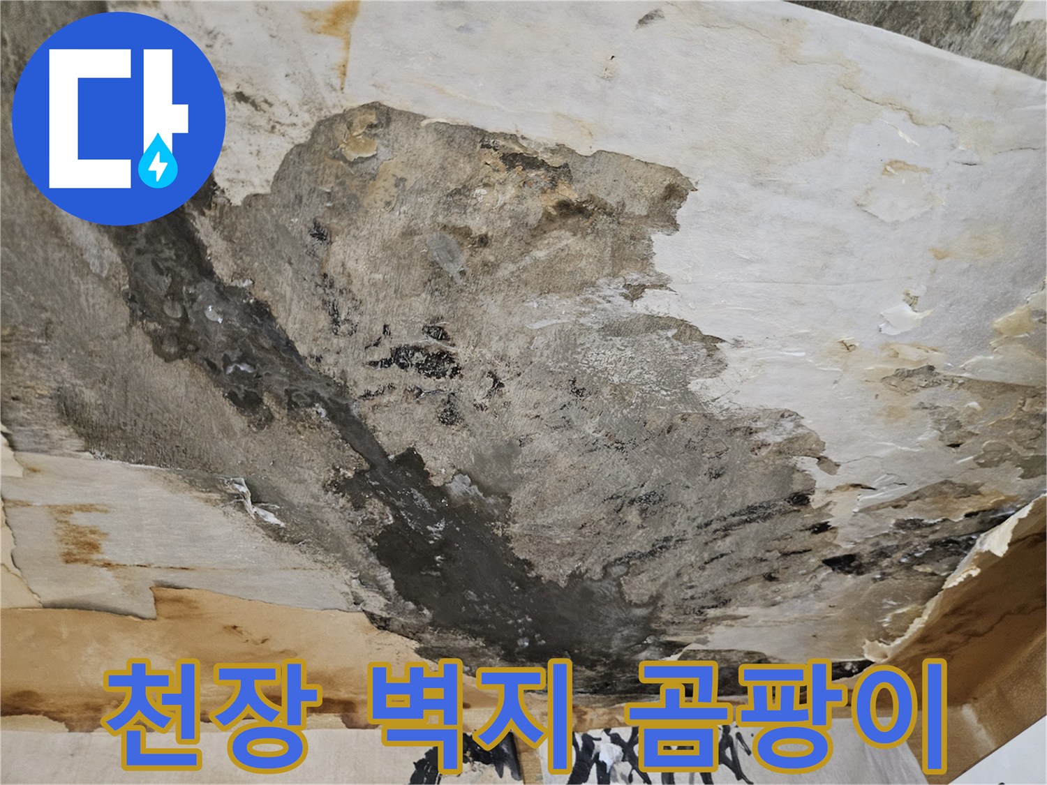 누수 침투로 인해-변색되고 부풀어 오른 천장 마감재
