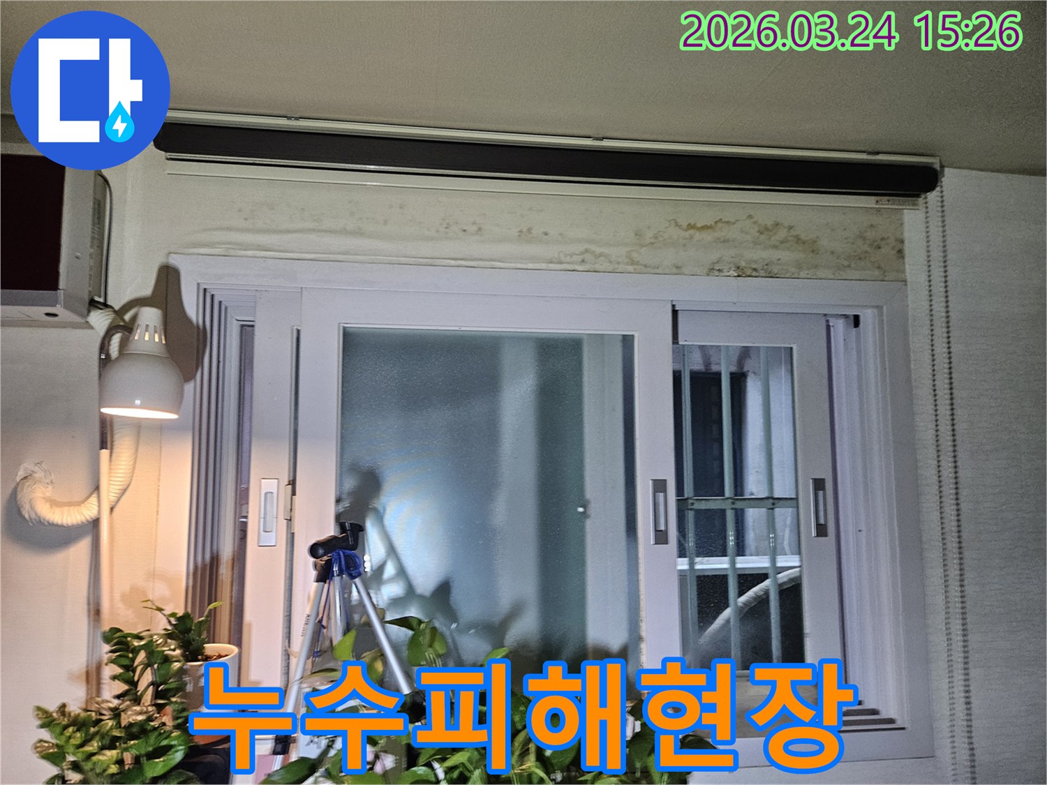 오랜-기간-누수로-인해-창문-상단-벽면에-심각하게-번진-곰팡이-현장을-담은-사진