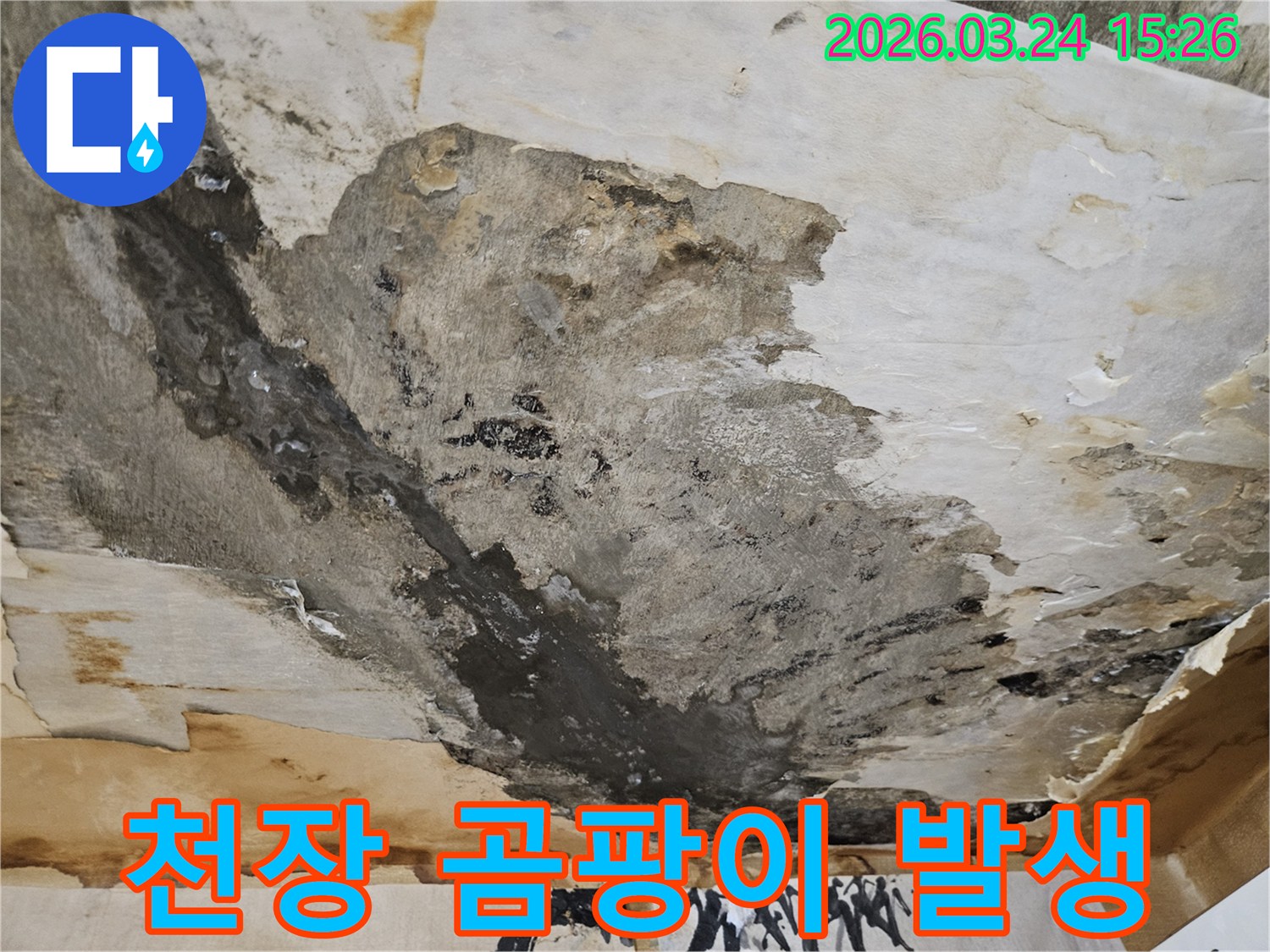 천장에서-물이-새어-벽지가-벗겨지고-곰팡이가-피어난-심각한-누수-현장입니다