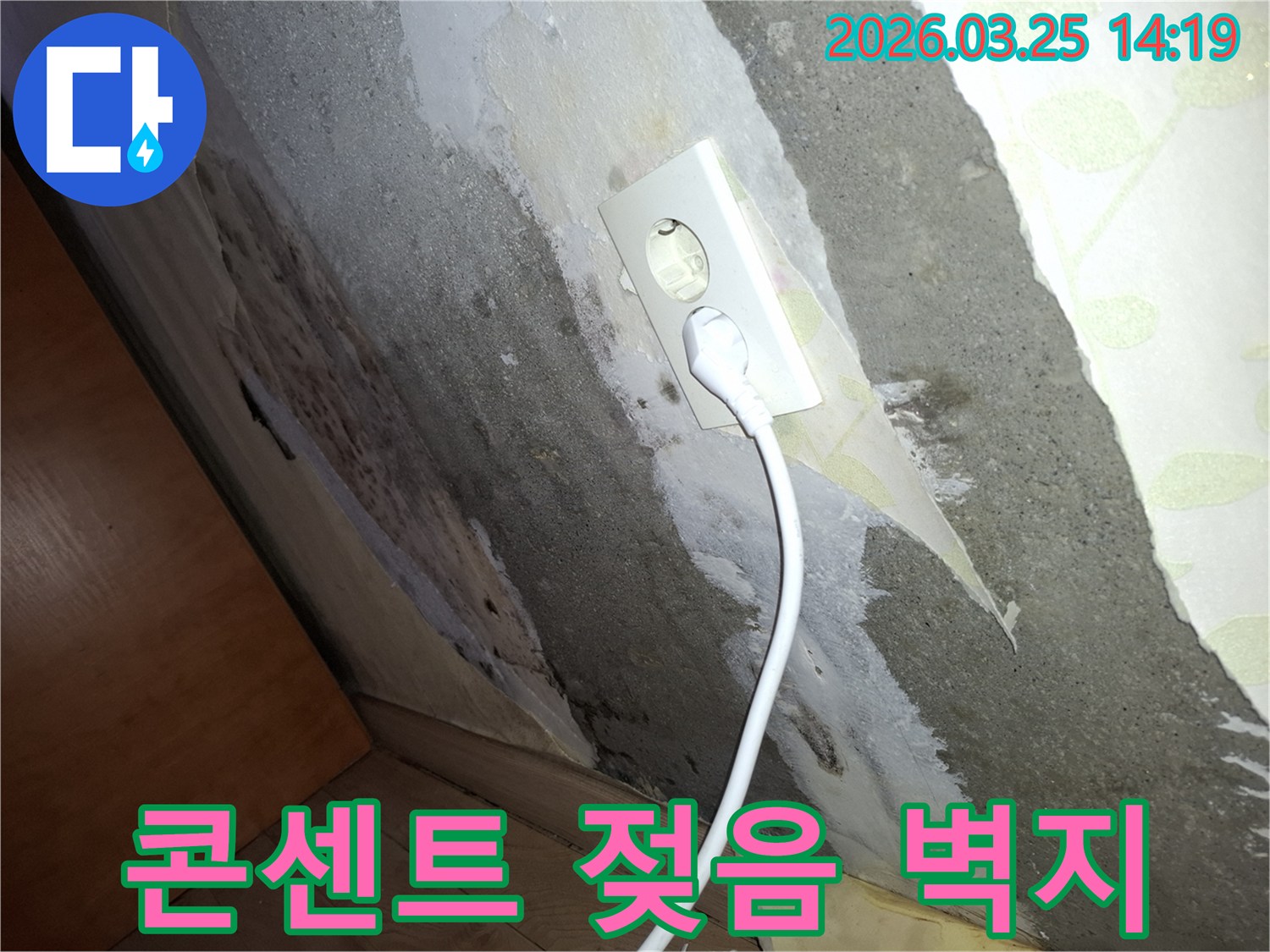 벽지가-젖어-떨어지고-콘크리트-벽에-곰팡이가-생긴-주택-누수-피해-모습