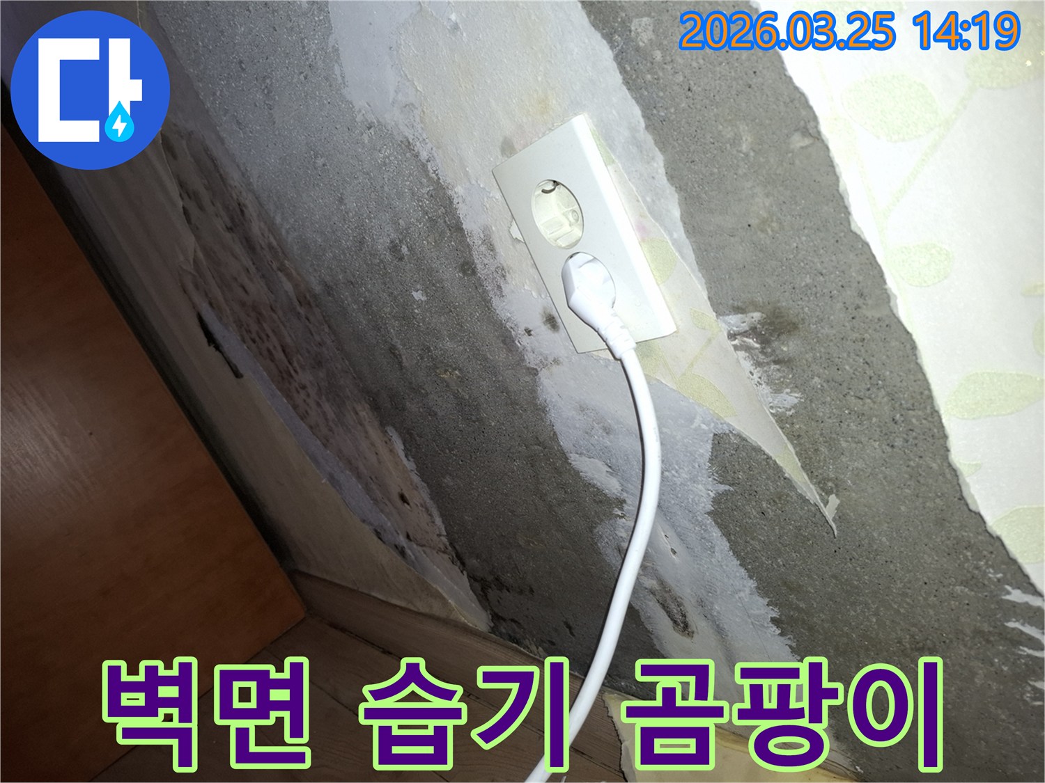 콘크리트-벽에-물이-스며들어-콘센트-주변까지-젖고-곰팡이가-번식한-누수-진단-이미지