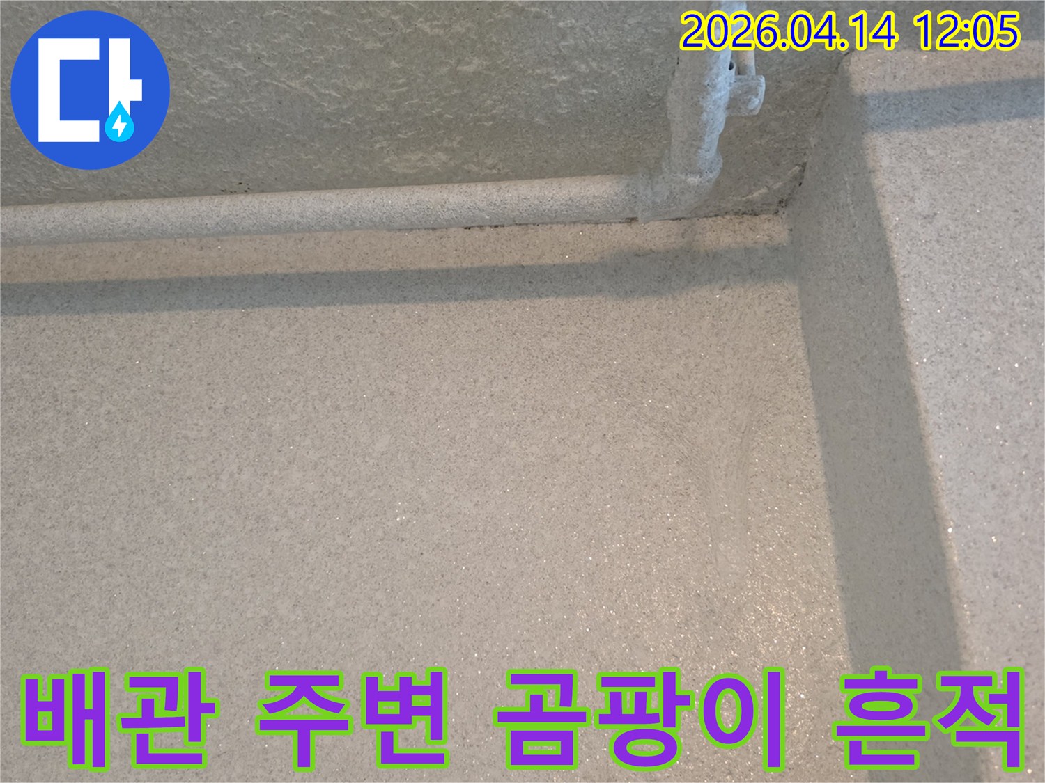 천장과 벽이 만나는 모서리 부분에 배관이 지나가며 발생한 곰팡이와 물자국-누수의 심각성을 보여줍니다