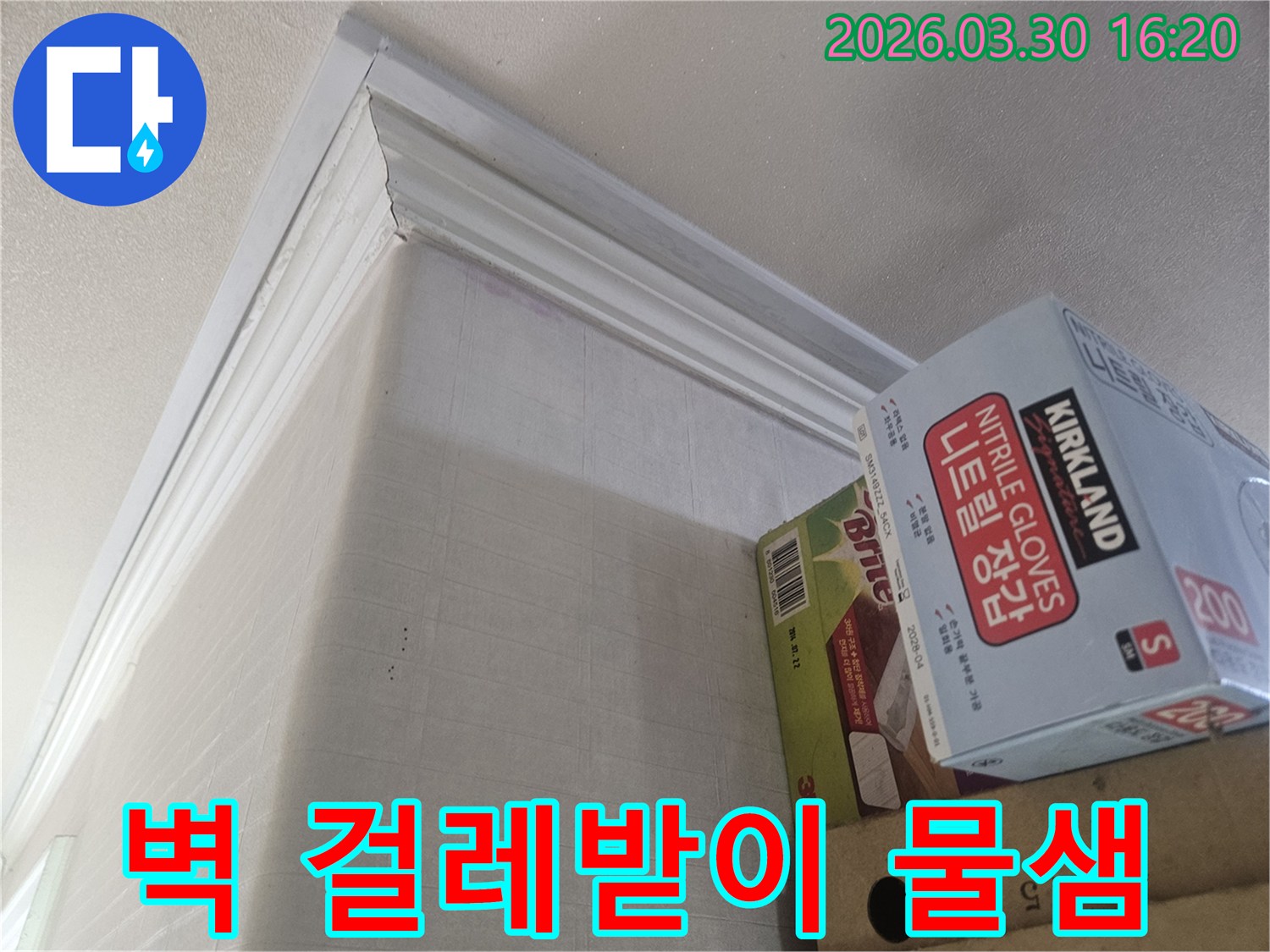 누수 엔지니어가-강남 학동로 아파트 현장에서-벽과 걸레받이 틈새의-물샘을-전문적으로 진단하는 모습