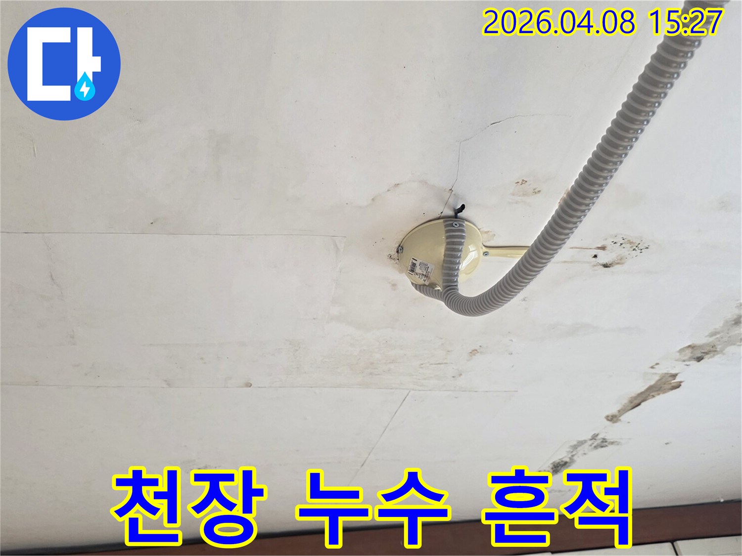 천장에서-물이-새어-얼룩지고-곰팡이가-생긴-모습을-보여주는-사진입니다