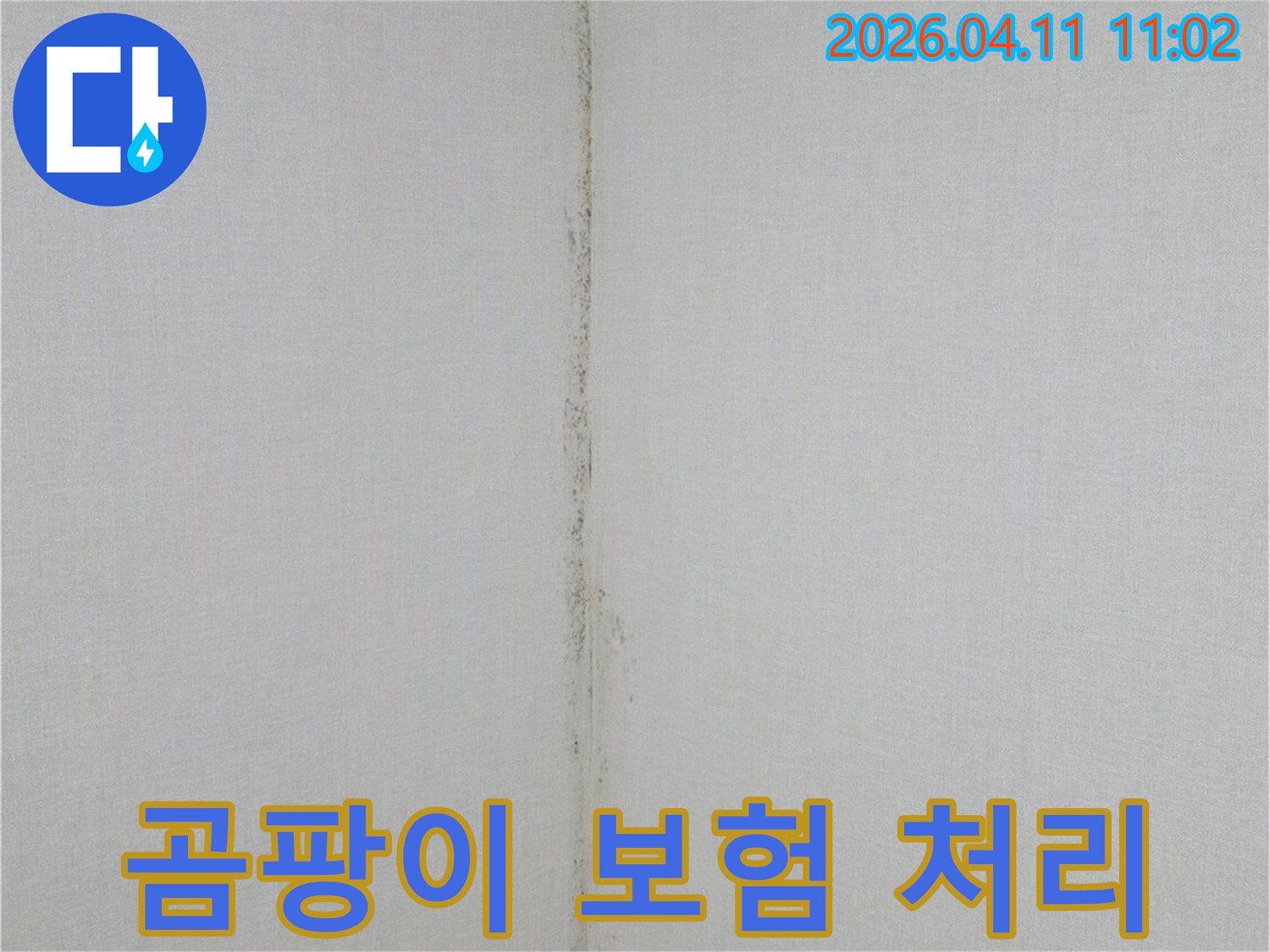 천장과-벽면-경계에-발생한-누수-흔적과-곰팡이-오염을-보여주는-사진입니다.