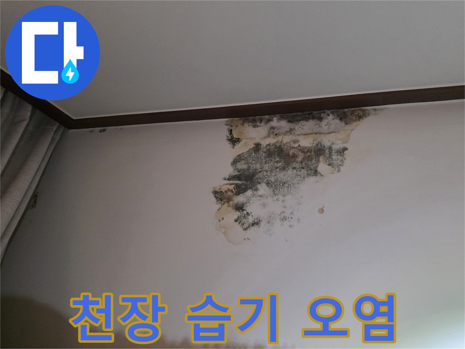 물샘 현상으로 인해 검게 변한 천장 벽지 부위