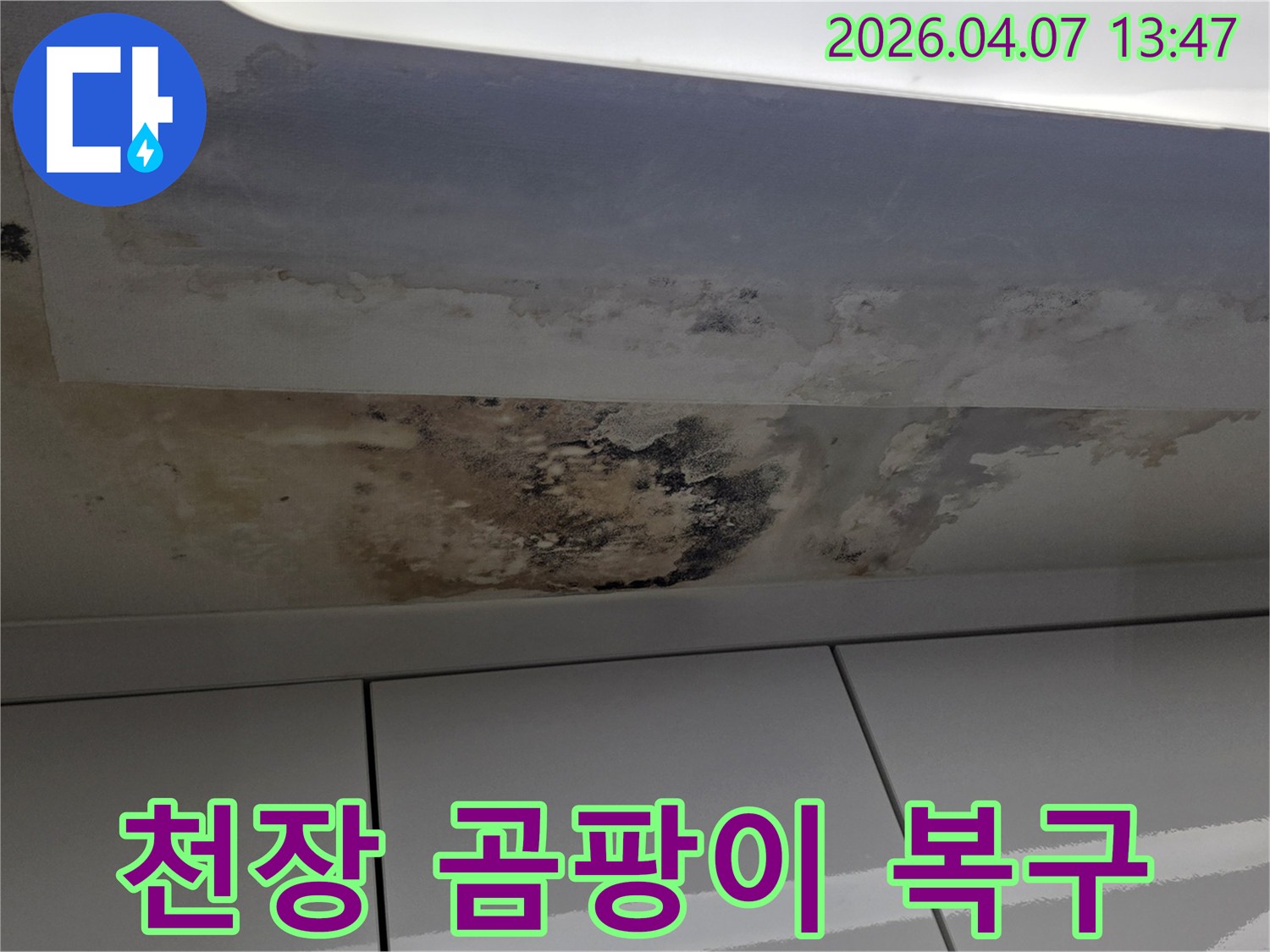 아파트-천장에-발생한-누수로-인한-곰팡이-오염-현장-완벽한-복구-작업-필요