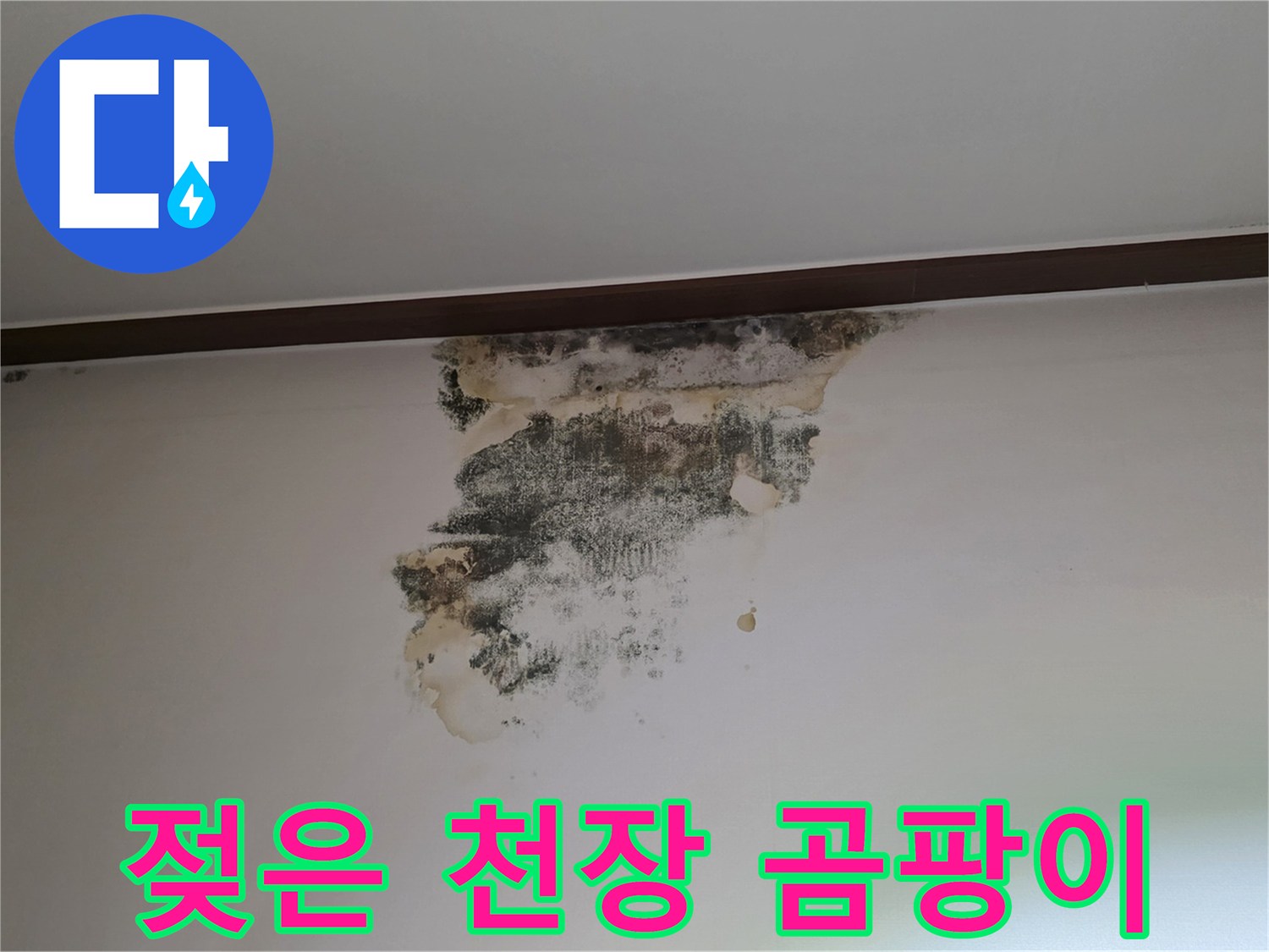 천장 벽면에 넓게 퍼진 검은색 누수 흔적과 곰팡이 부위