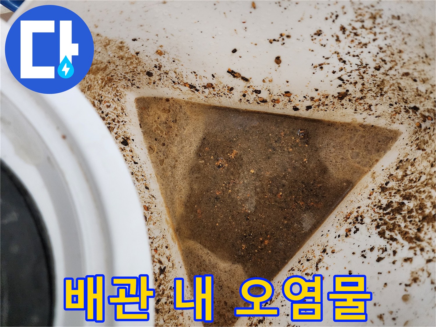 싱크대 하수구에서-추출된 기름 슬러지 및 찌꺼기