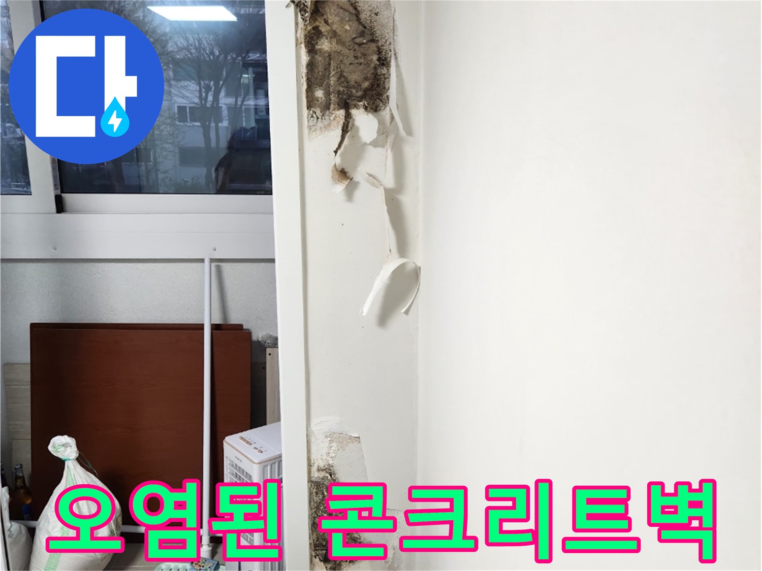 곰팡이로 오염된 내부 콘크리트 노출 부위