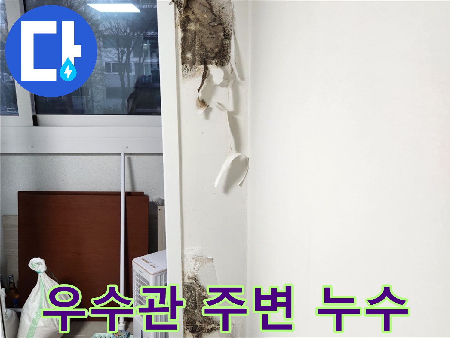 우수관 하단 벽체 부위의 젖은 흔적과 곰팡이 발생 상황