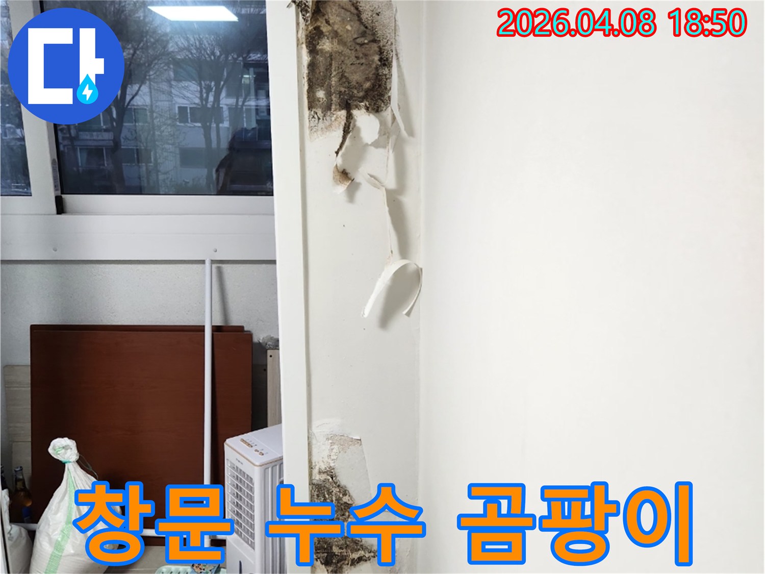 창문-아래-벽면에서-발견된-벽지-손상과-함께-심각하게-번식한-곰팡이의-모습을-담은-누수-현장-사진입니다