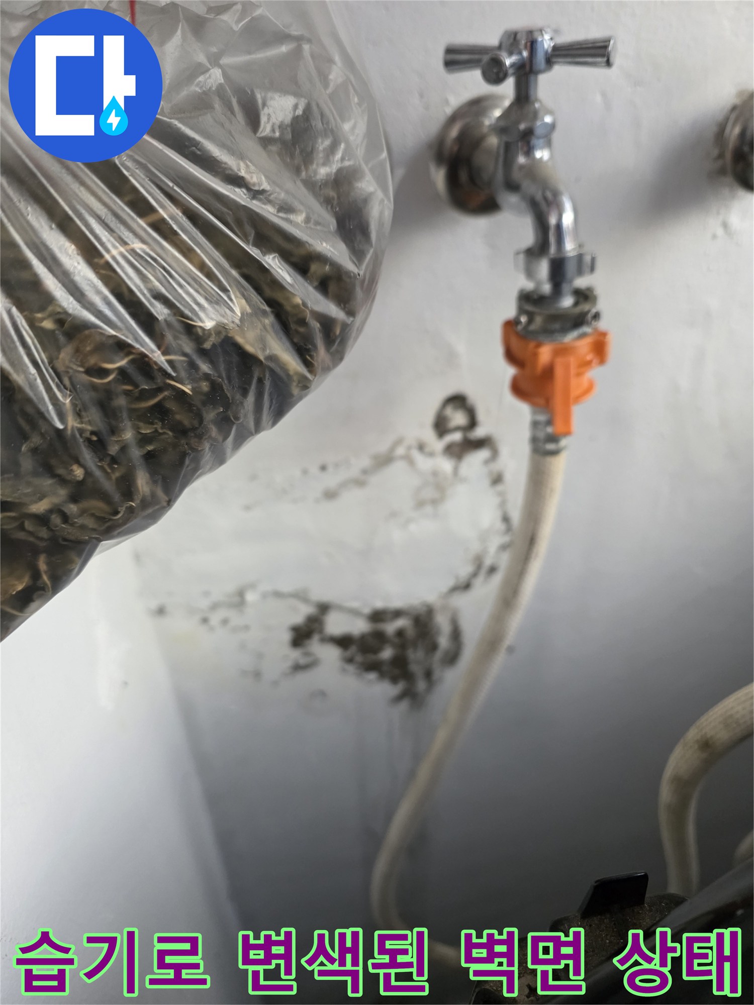 누수로-인한-벽면-얼룩과-곰팡이-발생-지점