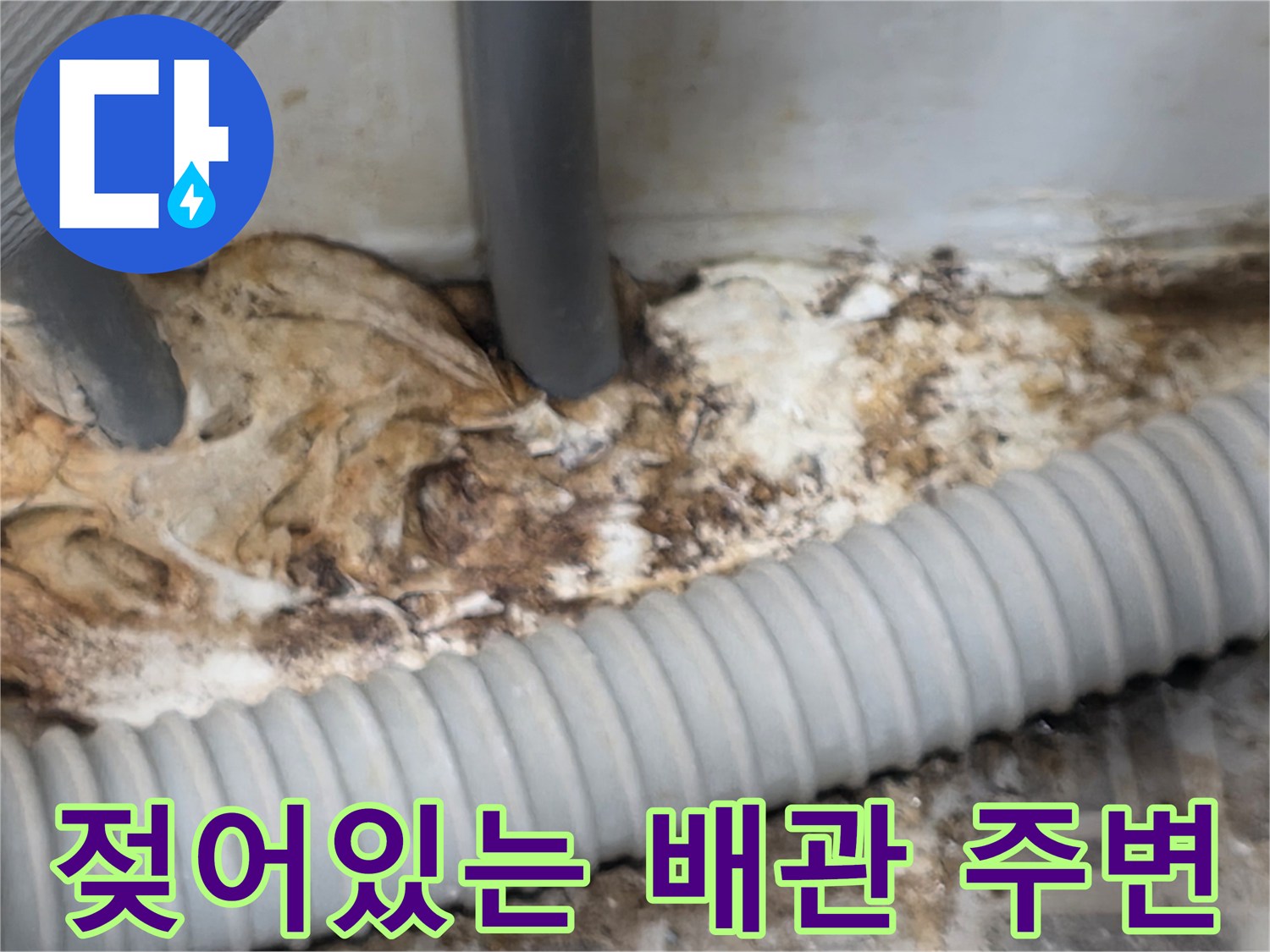 습기로-오염된-배관-주변의-바닥재-상태