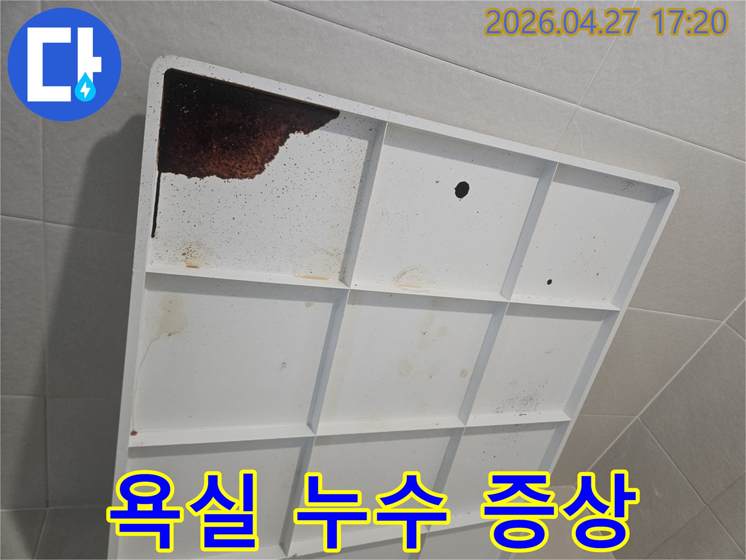 갈색으로 변색된 물이-배수판에 고여있는-누수 현장의 생생한 증거입니다.