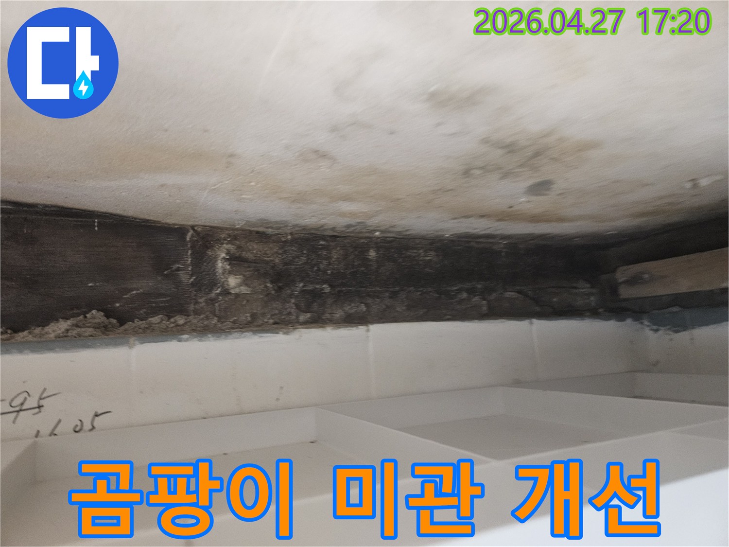 누수로 인해-욕실 천장-벽면에-발생한-곰팡이로-인한-미관을-개선하고-깨끗한-환경을-조성하는-현장-사진